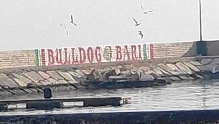 Bari, un murale degli ultrà sul porto di Santo Spirito ma il quartiere si divide. I tifosi: "Pronti a cancellarlo" 