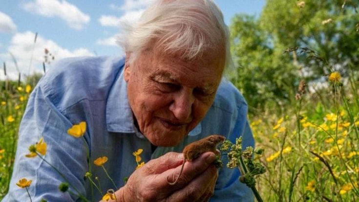 Happy Birthday, Sir David: Attenborough compie 100 anni