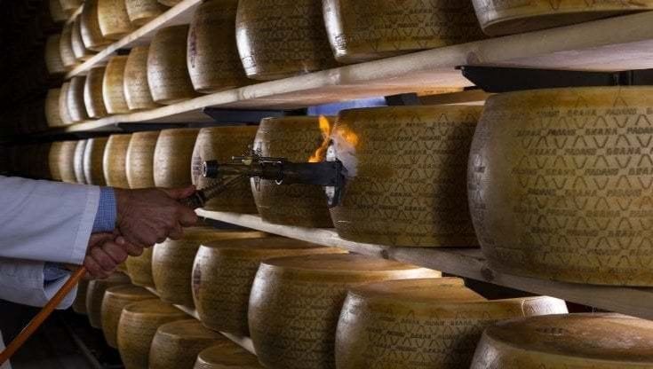 Press, Outdoor & Promotion Key Award: Grana Padano premiato nella categoria “Best Impact Award”