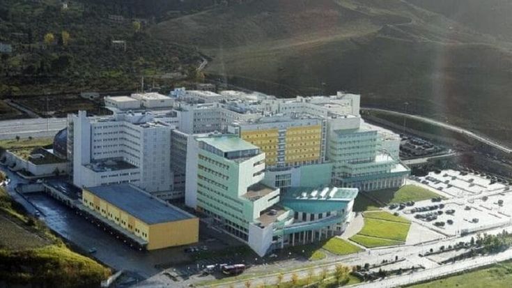 Catanzaro, animali torturati e uccisi nei laboratori dell’ateneo: 11 arresti, anche ex rettore