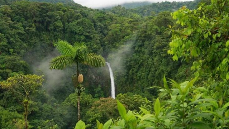 Fuga nella foresta, il Covid svuota i villaggi dell’Amazzonia