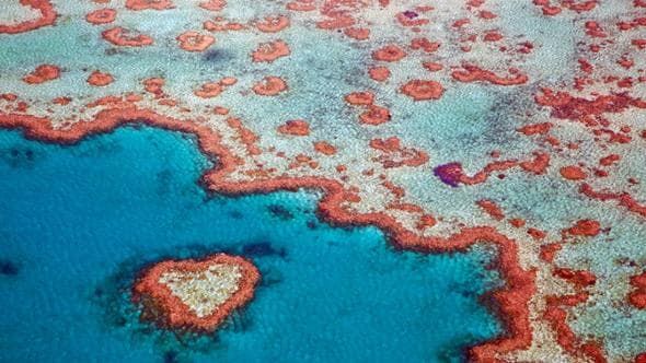 El Niño di quest'anno ha appena battuto un altro record allarmante
