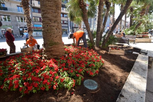 Bari pianta fiori rossi nelle aiuole in centro per il G7
