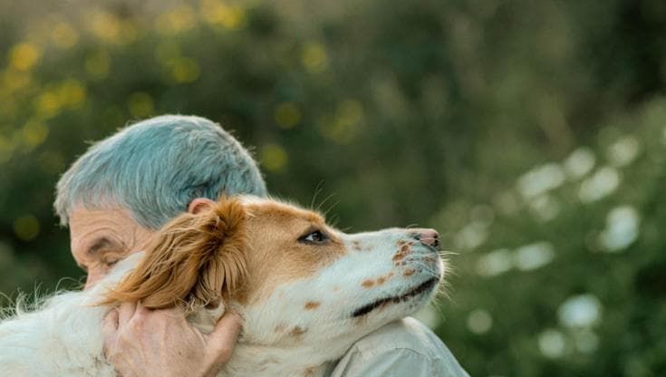 Una delle migliori armi contro il declino cognitivo ha 4 zampe