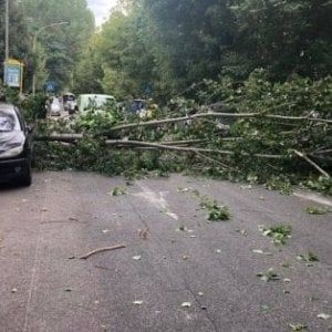 Pioggia e raffiche di vento, alberi caduti in tutta la città. Lievemente ferite due persone