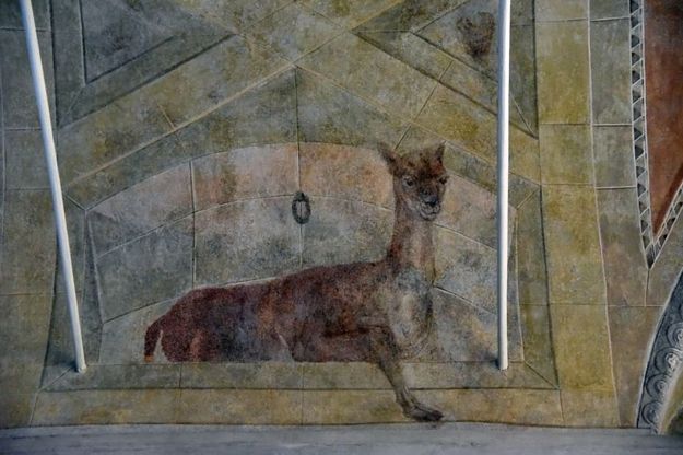 Gli affreschi del '700 nelle sale del Museo Egizio
