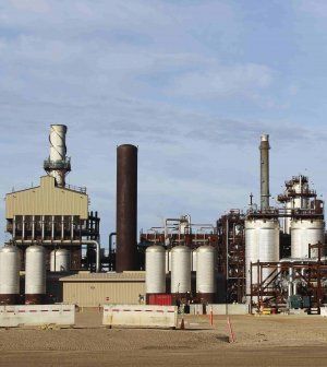 Energia, la svolta verde dei Big: "Il clima, un affare miliardario"
