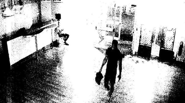 Stupro San Zenone, chi è l’uomo arrestato: il permesso di soggiorno e il lavoro come aiuto cuoco