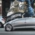 Il futuro del car sharing? Elettrico, autonomo, connesso