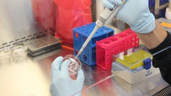 Così il sistema immunitario torna a “vedere” i tumori