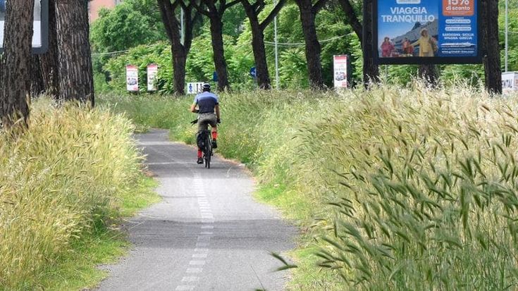 Erbacce, spighe e rifiuti: tour nel verde incolto di Roma, da corso Trieste all’Appia