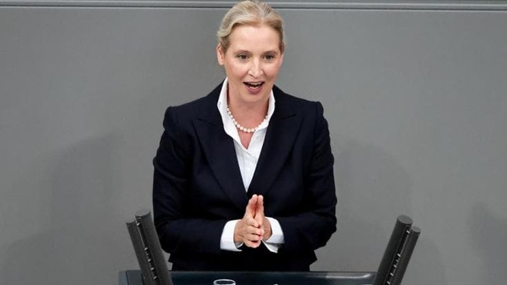 Russian gas, the Green Deal, rearmament, the EU as a “circus to be shut down”: the future of Europe according to the AfD