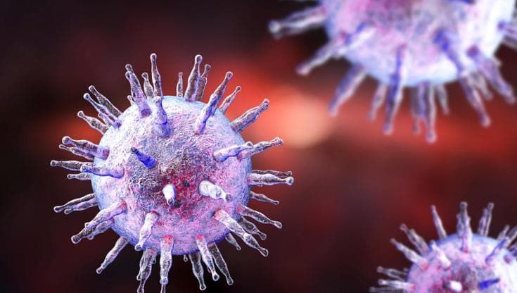 Sclerosi multipla: più chiaro il legame con il virus della mononucleosi