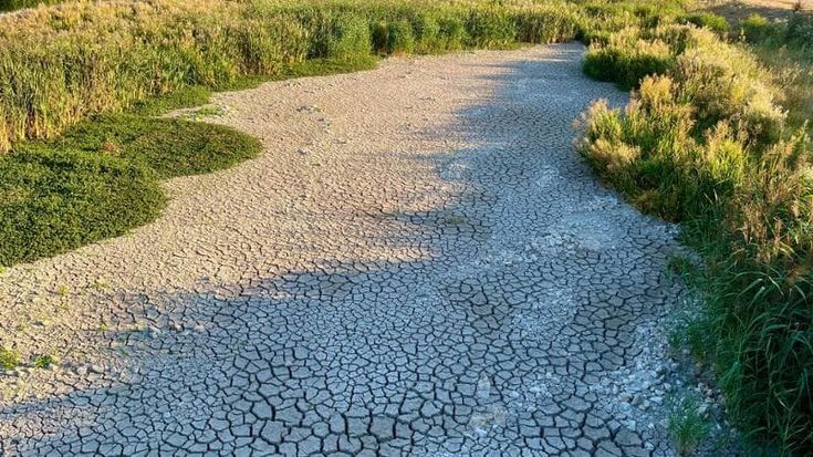Emergenza idrica: 1,4 milioni di persone muoiono ogni anno nel mondo