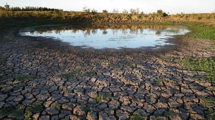 Cambiamenti climatici, entro il 2050 potrebbero causare 14,5 milioni di morti