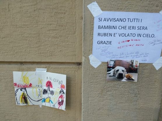 Addio a Ruben, fiori e disegni dei bambini per salutare il cane pompiere