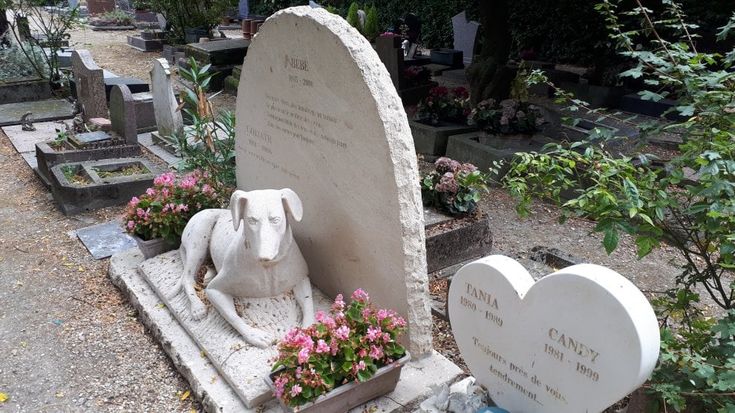 Animali, sulla Senna l'eterno riposo è bestiale