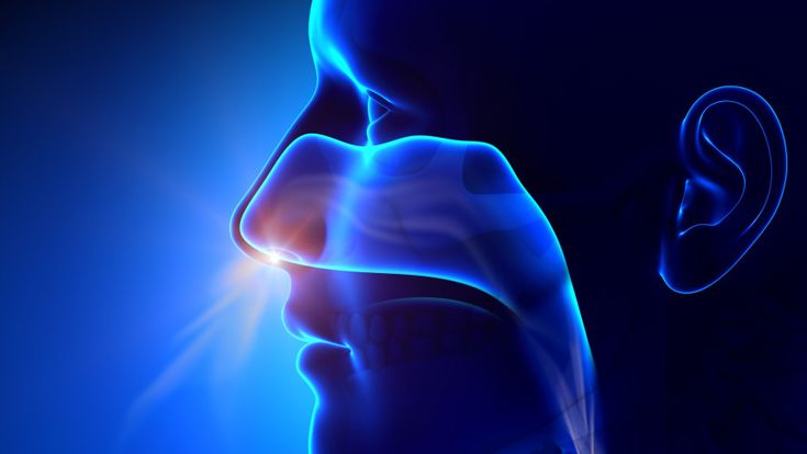 Respirare, un'arte dove si va a naso