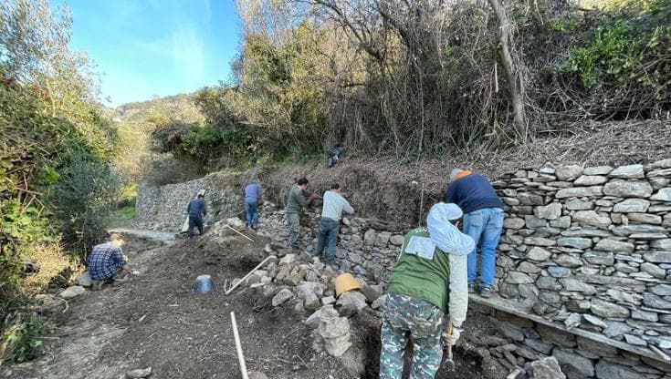 Cinque Terre, rinascono 5 chilometri di muretti a secco patrimonio immateriale dell’Umanità Unesco