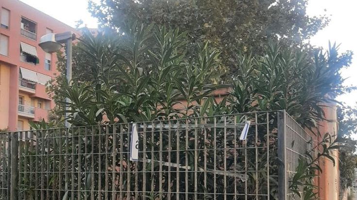 Rubata la targa delle polemiche, non c’è più l’insegna dedicata al comandante Guillet