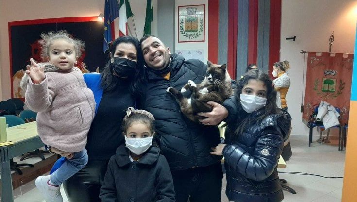 Torna a casa il gatto migrante di Lampedusa