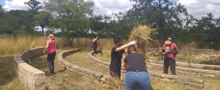 Roma, i volontari tagliano l'erba nel parco di Aguzzano: "Ma il pericolo incendi rimane"