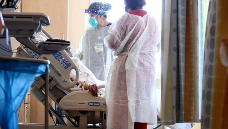 E adesso gli ospedali Usa fanno i conti con il fungo killer