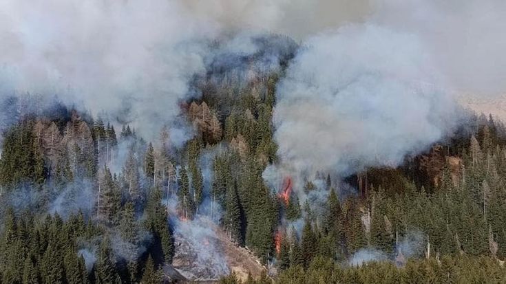 Distrutti dalle fiamme 10 ettari di bosco a Valfurva: i petardi lanciati da quattro turisti inglesi
