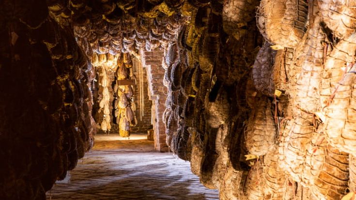 Culatello di Zibello Dop rivendica la sua biodiversità