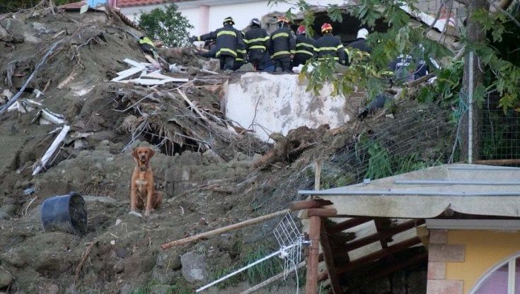 Ischia, le paure degli albergatori: “Aiutateci a ripartire”
