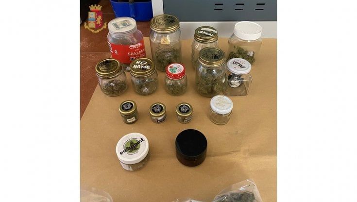 Bologna, smantellata una centrale dello spaccio di marijuana