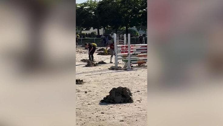 Il maneggio di Cesena salvato  dai giovani volontari