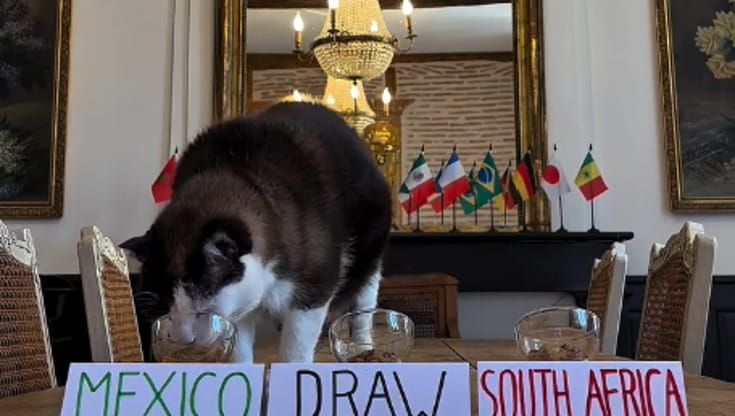 Trump non dice gatto