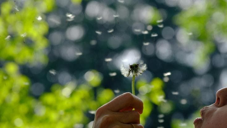 Allergie e naso ostruito, quando c’entrano i turbinati