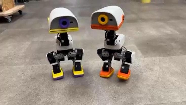 Il robot-anatra di Hugging Face è già un caso: ordini per 2,6 milioni di dollari in 24 ore