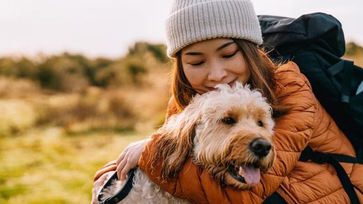 Pet food, partnership nel delivery: al via consegna a domicilio di cibo e prodotti per animali