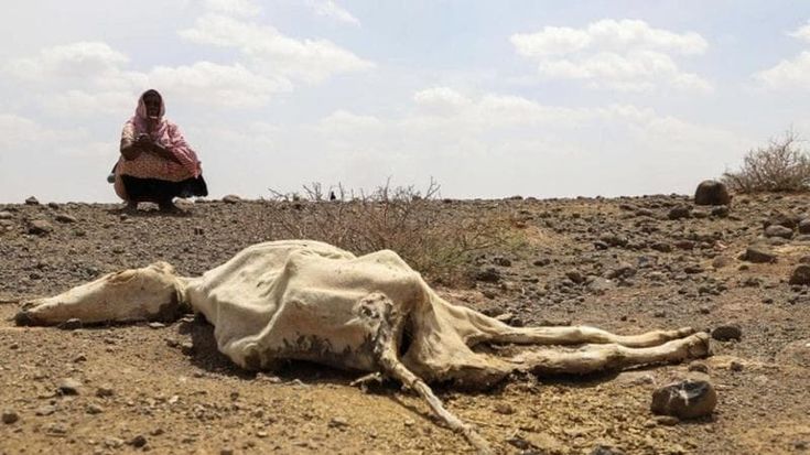 Corno d’Africa, la stagione secca e piovosa aumenta l’allarme per l’insicurezza alimentare