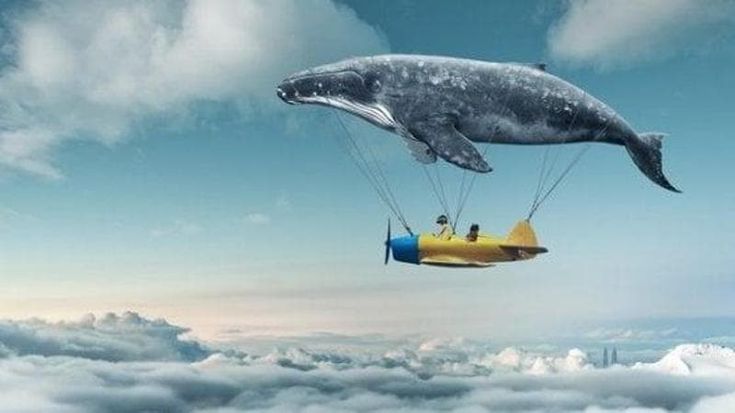 Così nascono i sogni. Scoperto perché quelli negativi sono i più frequenti