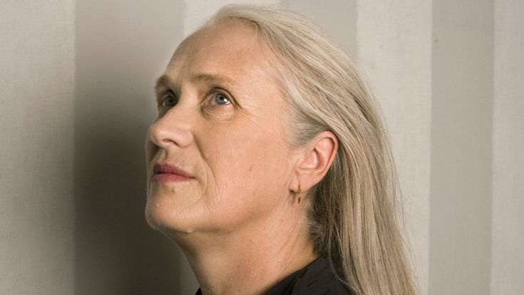 Le lezioni di cinema di Jane Campion