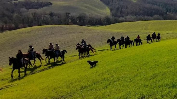Parte il raduno del Giubileo, nuova spinta al turismo equestre