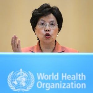 Zika, l'appello dei 125 scienziati all'Oms: "Rinviare le Olimpiadi di Rio"