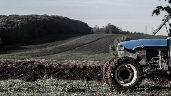 Fiorano, quando nel vino rosso scorre sangue blu