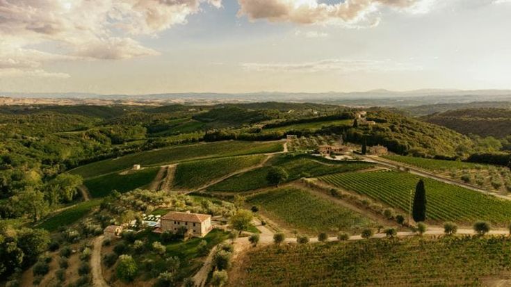 Boschetto Campacci presenta il Ruello 2020 Chianti Classico Riserva