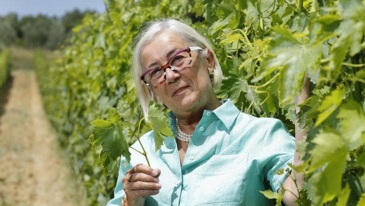 “Viaggi, comunicazione e autenticità”: la ricetta di Cinelli Colombini per rilanciare il vino