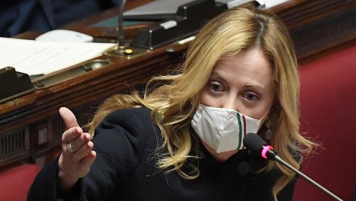 Meloni: "Potrei fare il premier, mi preparo a governare la Nazione. Draghi al Colle? Non ho deciso"