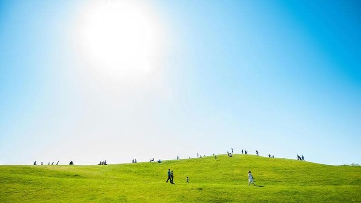Sinbio, l’Europa Green punta sui biocombustibili da fonti rinnovabili