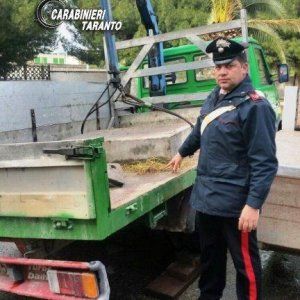 Taranto, entrano col motocarro nell'Ilva per rubare ferro: arrestati padre e figlio 