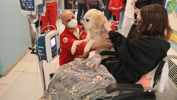Cani in pediatria al Sant’Orsola: pet therapy per i piccoli pazienti con Isabella e Puntino