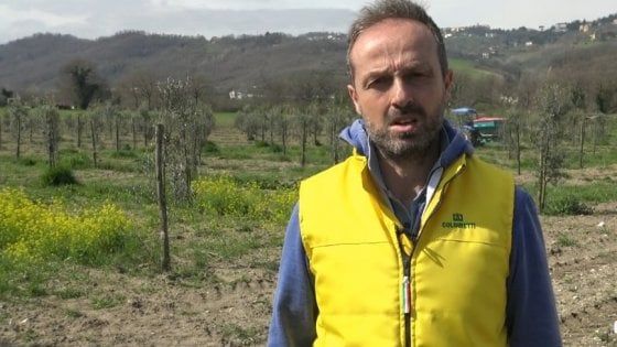  Coronavirus: Coldiretti Napoli consegna la spesa a domicilio