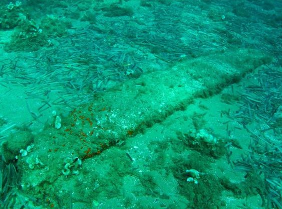 Dalle acque del Circeo riemerge un'ancora antica